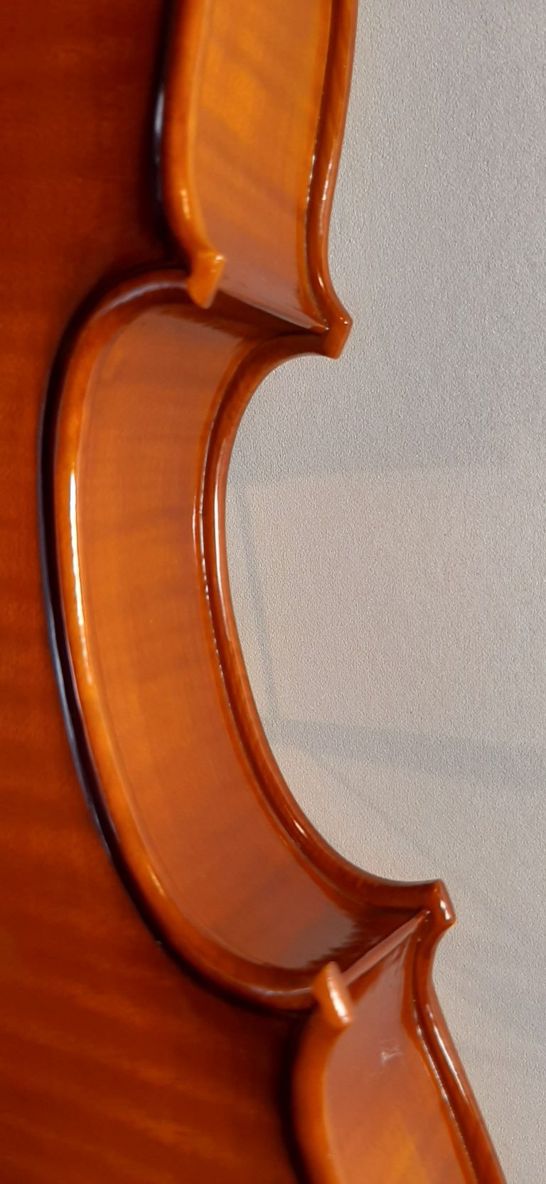 #12 Violine Stradivari Geige Mediceo (1716)