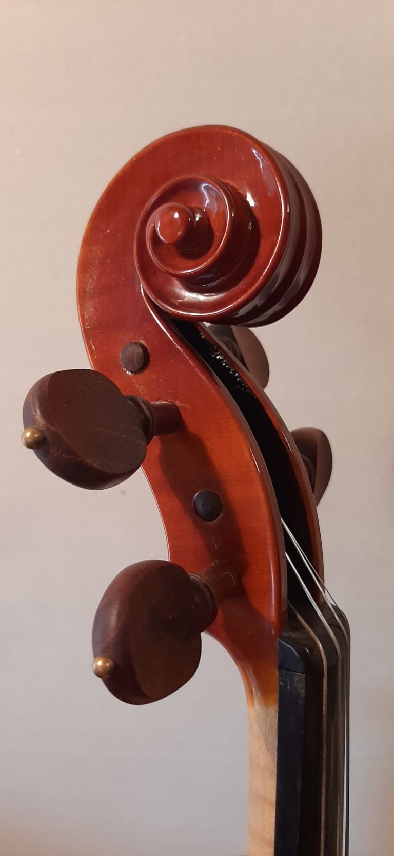 #12 Violine Stradivari Geige Mediceo (1716)