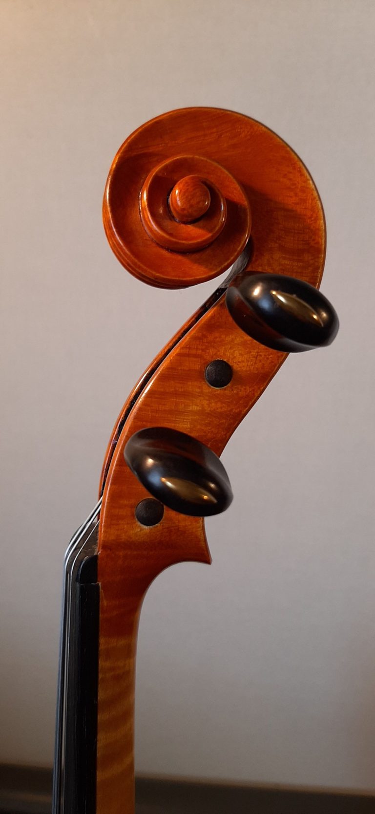 #14 Violin Model Antonio Stradivari, Mediceo, 1716