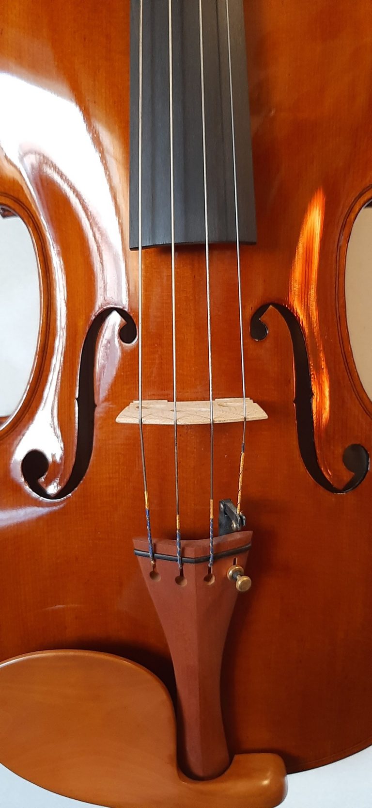 #16 Viola Stradivari Bratsche (Viola), Medicea, 1690