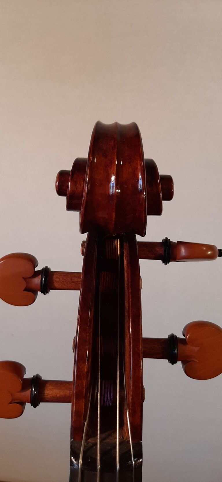 #16 Viola Model Antonio Stradivari, Medicea, 1690