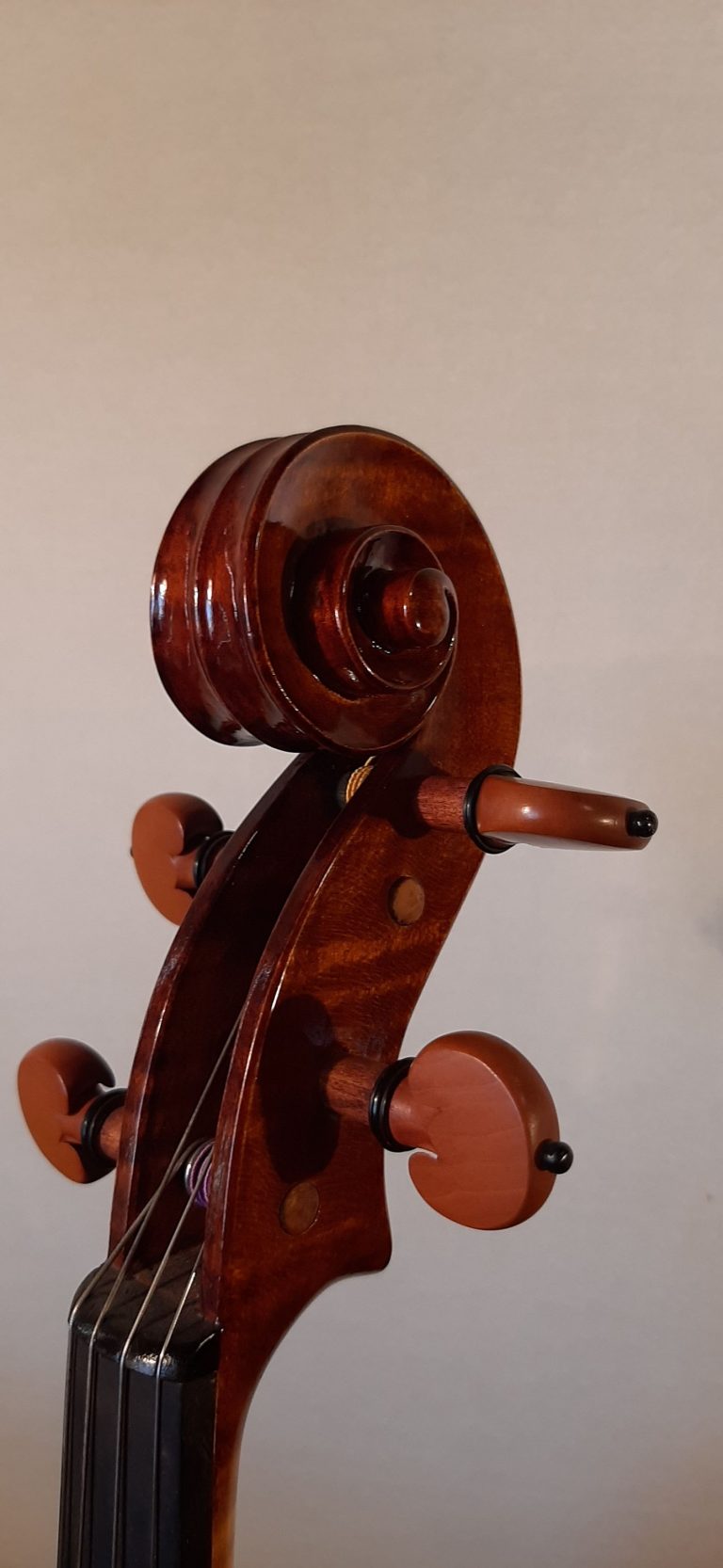 #16 Viola Model Antonio Stradivari, Medicea, 1690