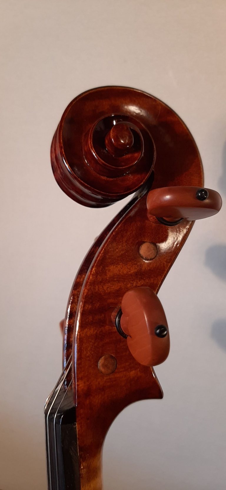 #16 Viola Model Antonio Stradivari, Medicea, 1690