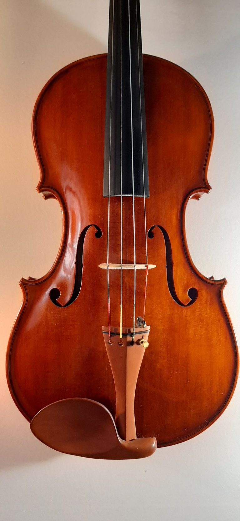 #17 Viola Model Antonio Stradivari, Medicea, 1690