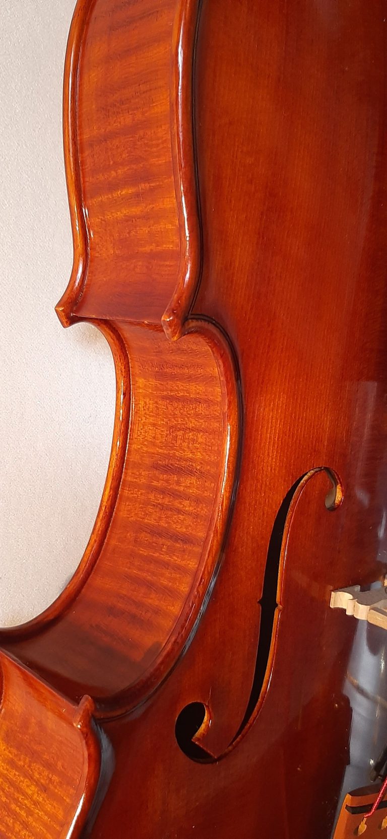 #17 Viola Model Antonio Stradivari, Medicea, 1690