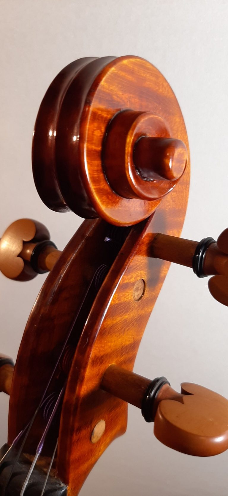 #17 Viola Model Antonio Stradivari, Medicea, 1690