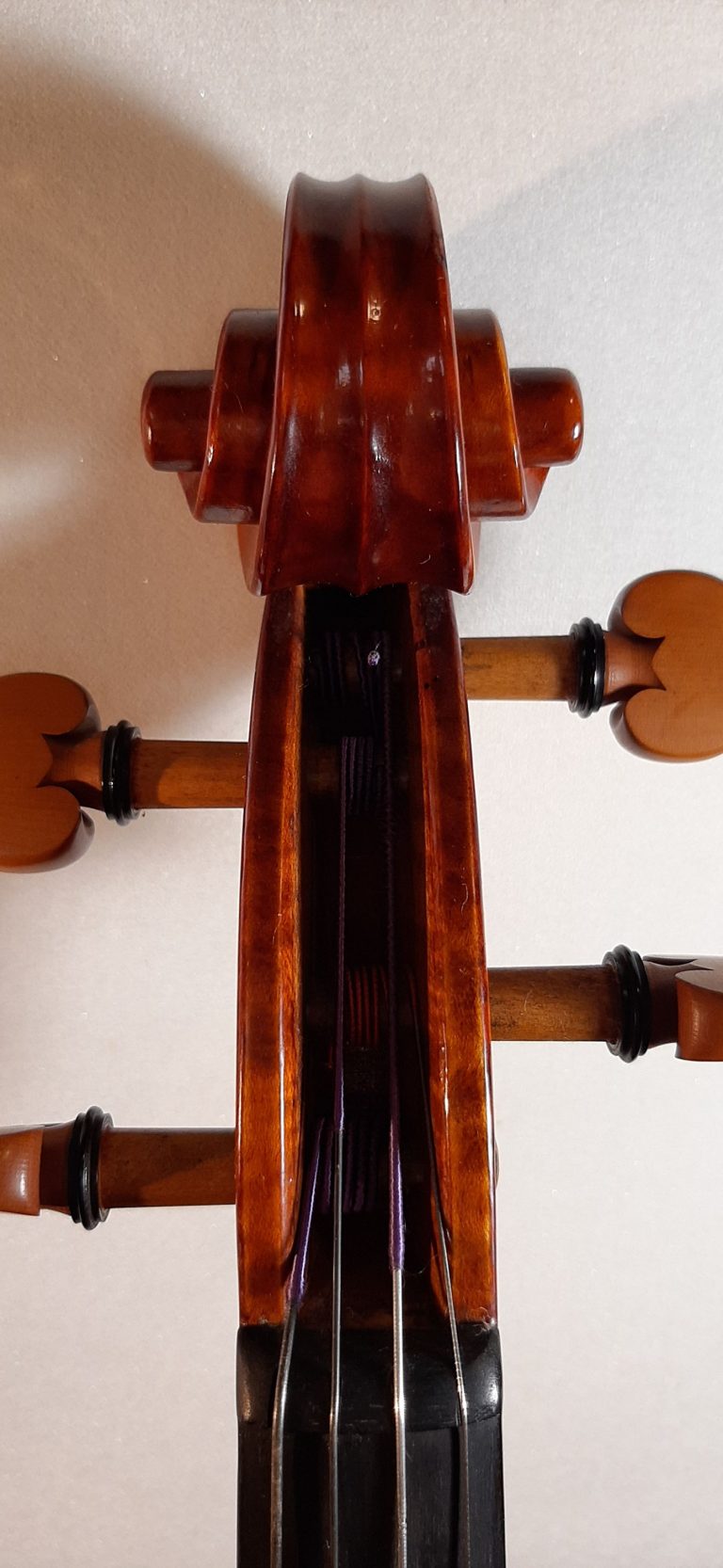 #17 Viola Model Antonio Stradivari, Medicea, 1690