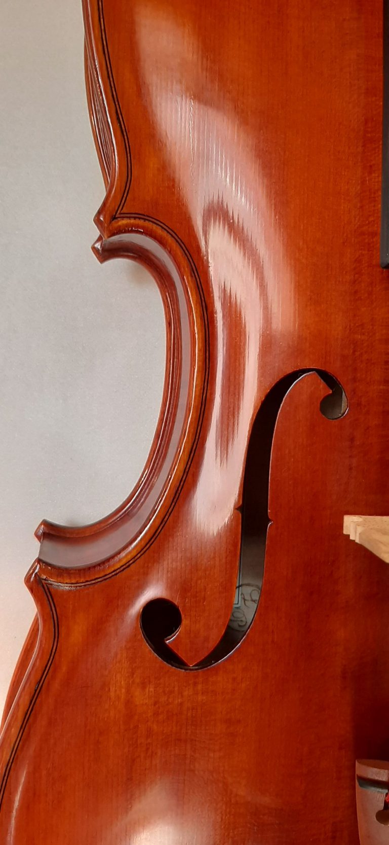 #17 Viola Model Antonio Stradivari, Medicea, 1690