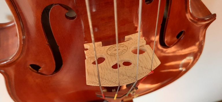 #17 Viola Model Antonio Stradivari, Medicea, 1690