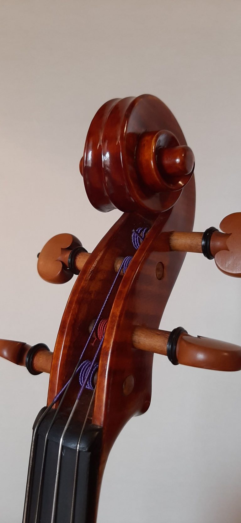 #17 Viola Model Antonio Stradivari, Medicea, 1690