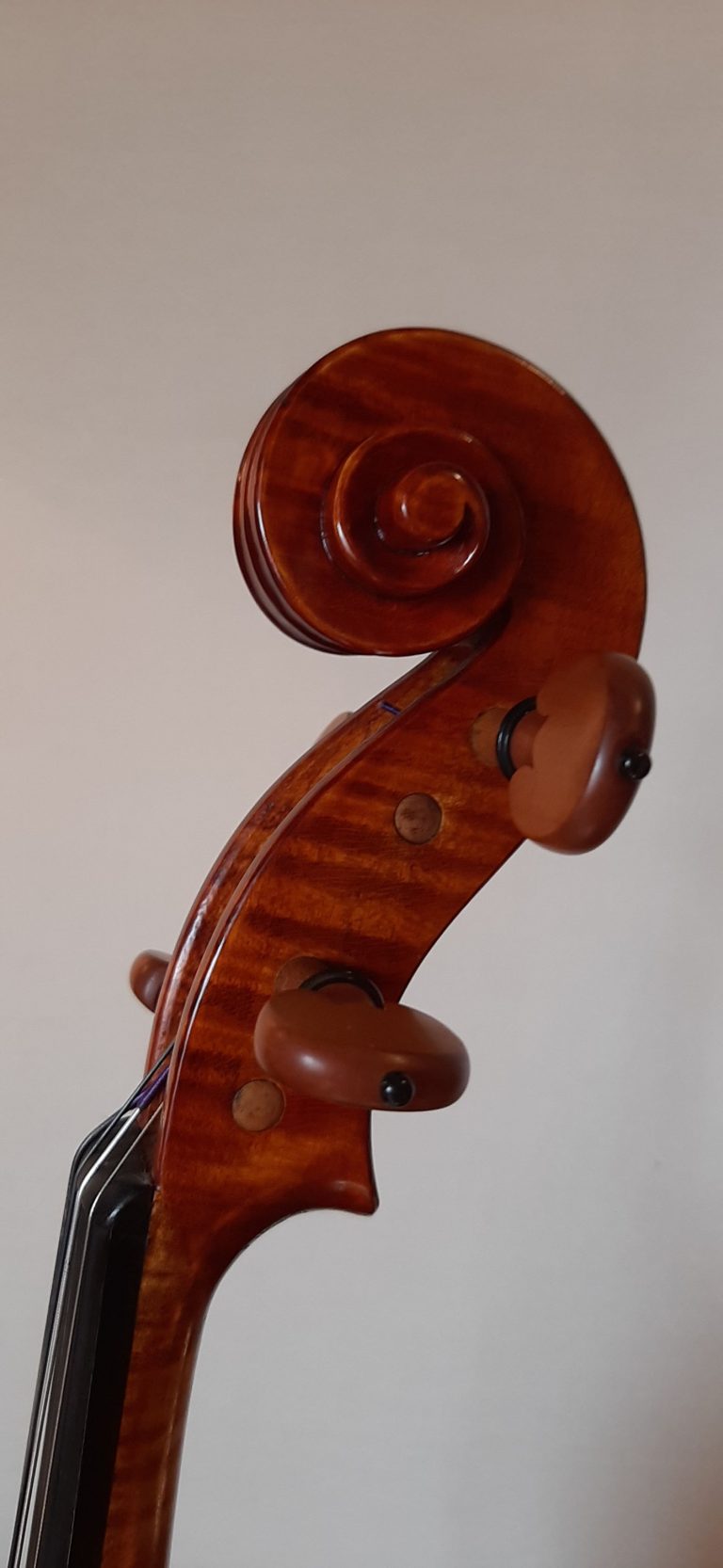 #17 Viola Model Antonio Stradivari, Medicea, 1690