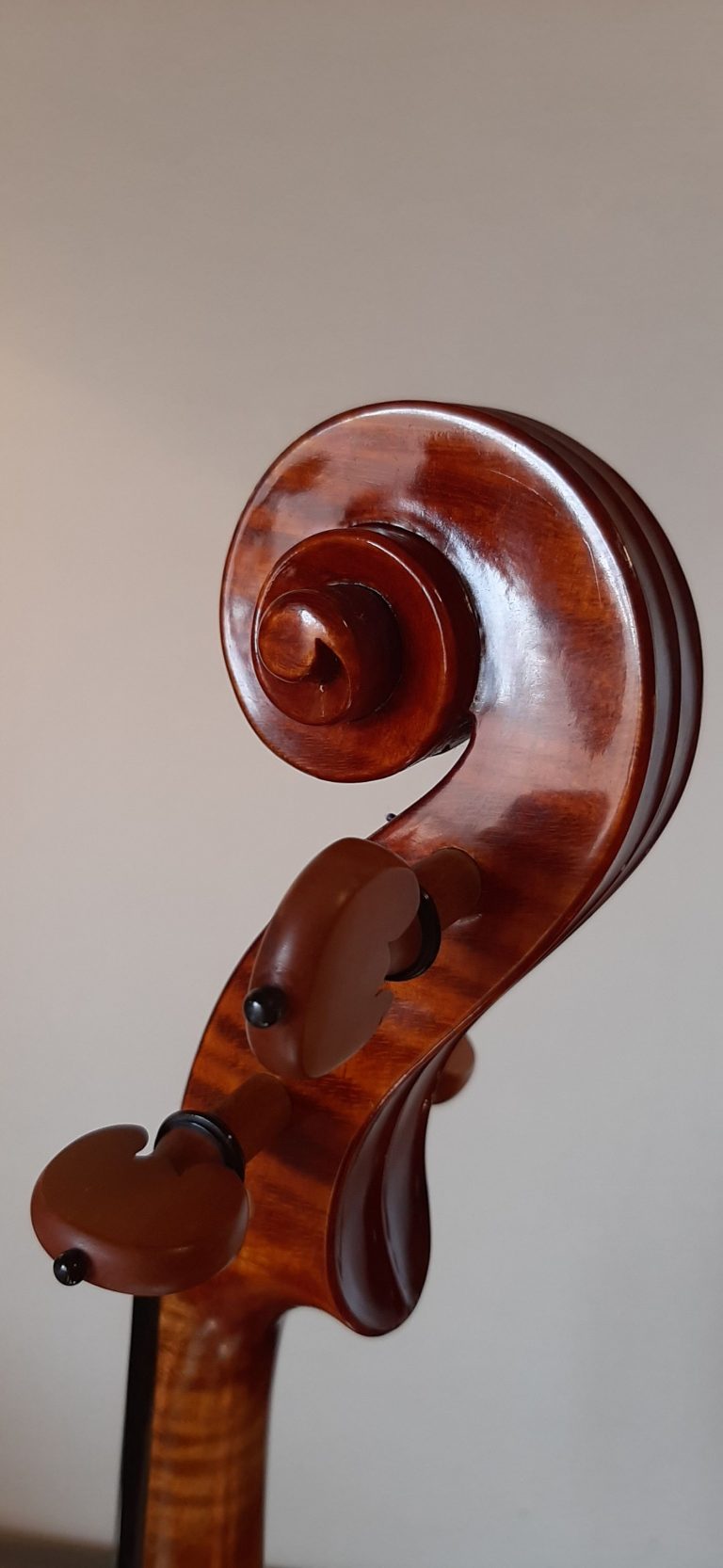 #17 Viola Model Antonio Stradivari, Medicea, 1690