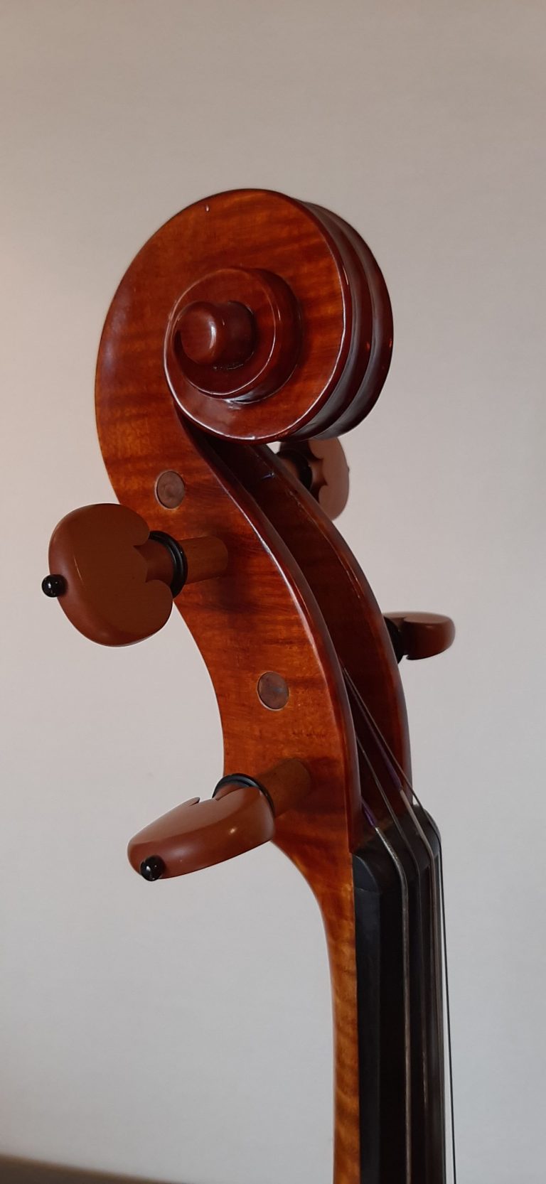 #17 Viola Model Antonio Stradivari, Medicea, 1690