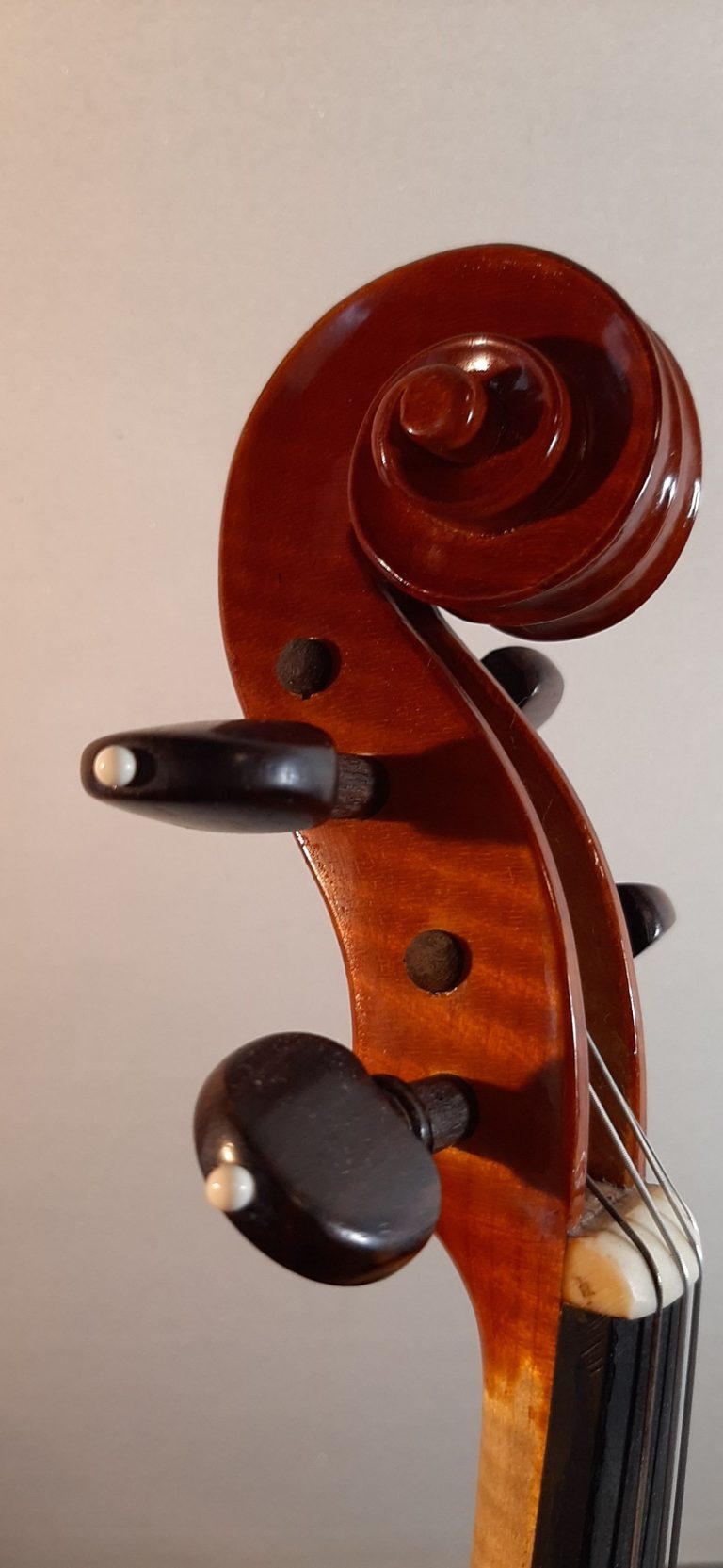 #02 Violin Model Antonio Stradivari Mediceo, 1716