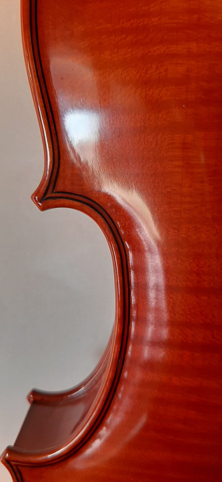 #05 Violin Model Antonio Stradivari, Mediceo, 1716