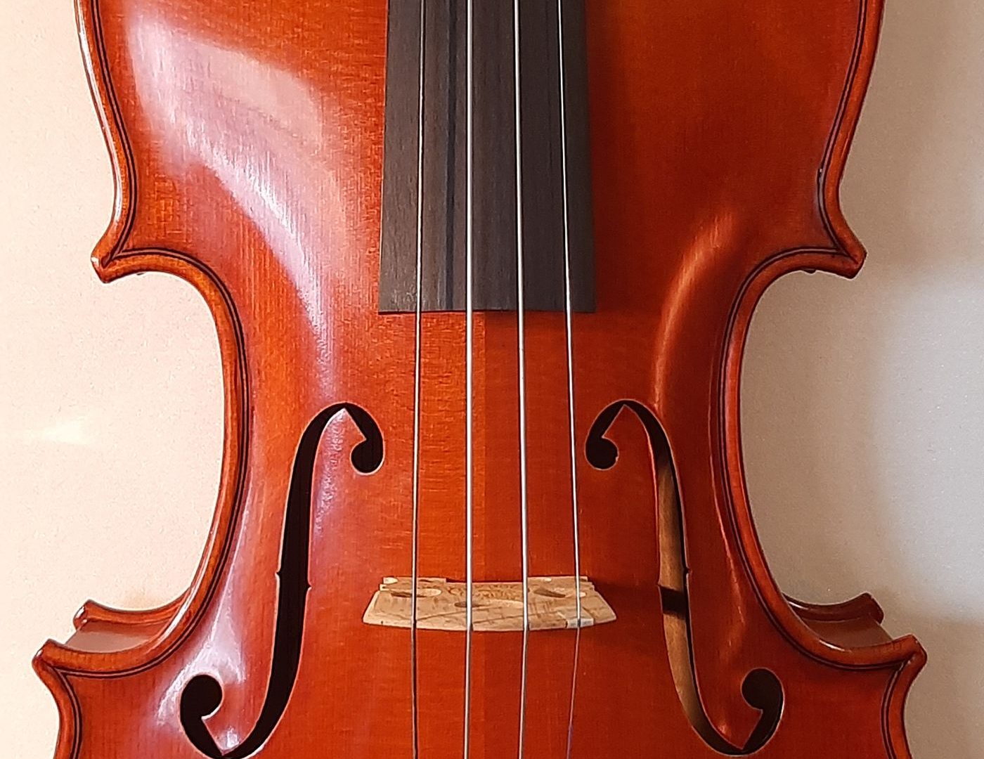 Korpus der Violine